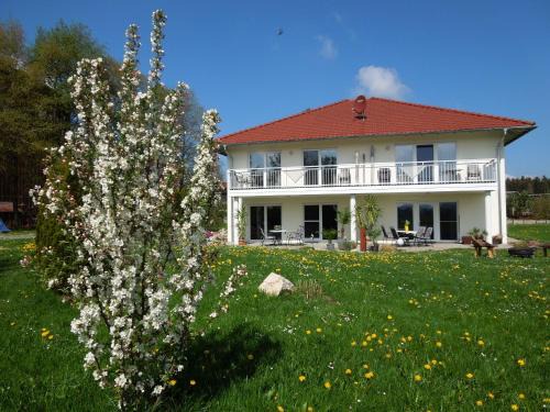 Bad Waldsee Apartment | Ferienhaus Steinenberg