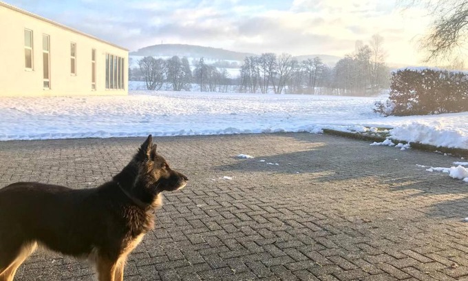 Alpenrod House | Ferienhaus Talblick