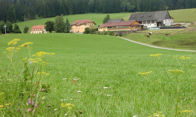 Mariahof House | Ferienhaus Wohleser
