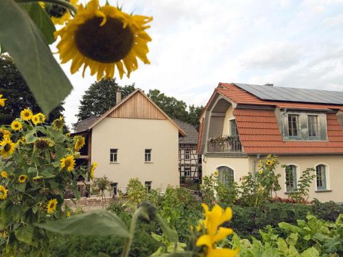 Unstruttal Apartment | Ferienhof NaturZeit