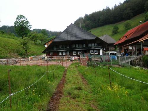 Bollen Apartment | Ferienwohnung am Belchen