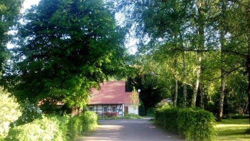 Erkerode Apartment | Ferienwohnung Das Fuchsrevier
