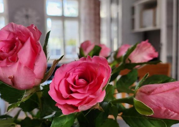 Quedlinburg Apartment | Ferienwohnung im Konvent