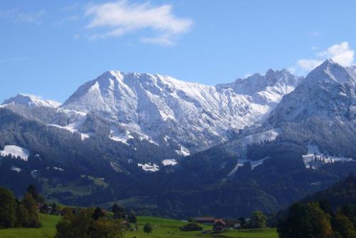 Obermaiselstein Apartment | Ferienwohnung Kircher