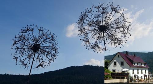 Forbach Apartment | Ferienwohnung Pusteblume