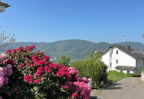 Lahnstein Apartment | Ferienwohnung Rhein-Panorama