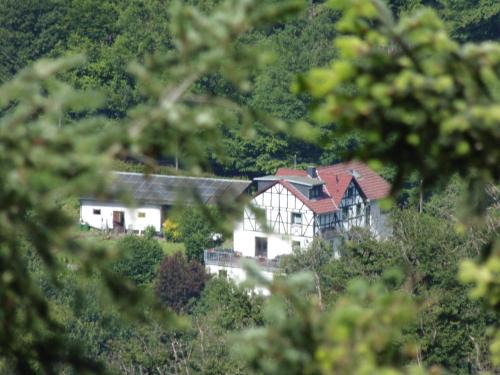 Waldbreitbach Apartment | Ferienwohnung Schäfer