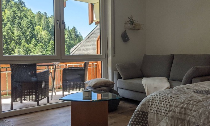 Todtmoos Apartment | Ferienwohnung Sonnenstrahl, 40qm, Balkon, 1 Wohn-/schlafzimmer, Max. 4 Personen