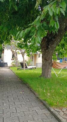 Frauenstein Apartment | Ferienwohnung Waldblick in Frauenstein