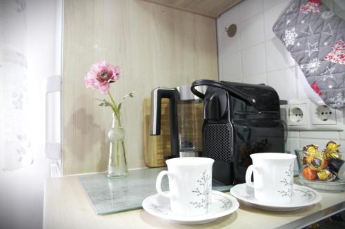 Remagen Apartment | Ferienwohnungen Traubeneiche