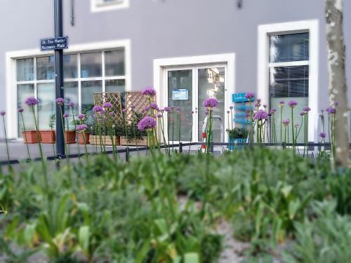 Wittau Apartment | Ferienzimmer Seepark