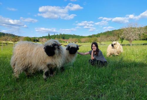 Montignac Bed & Breakfast | Ferme des Petites Oreilles 4 étoiles