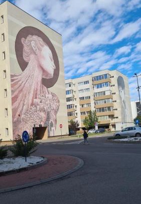 Bacau Apartment | Fiald-Apartament Nou
