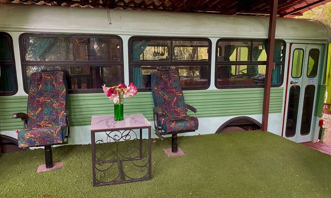 Monteverde Cabin | Ficus Wonders Bus. A Journey Through Nature