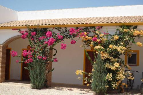Villamartin House | finca las gateras