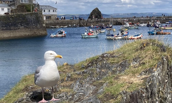 Mevagissey Cottage | Finest Retreats | Backlet Cottage