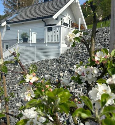Hjelmeland Apartment | Fjord road