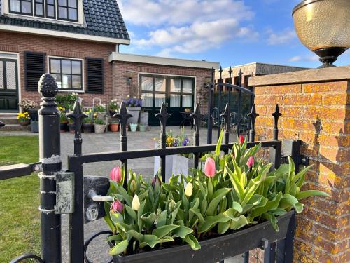De Engel Bed & Breakfast | Flowerbed