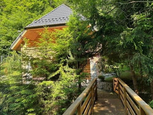 Makow Podhalanski Ski Chalet | Forest House- dom nad górskim potokiem