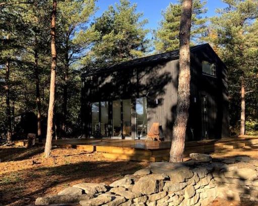 Kudjape House | Forest House, Tiidu