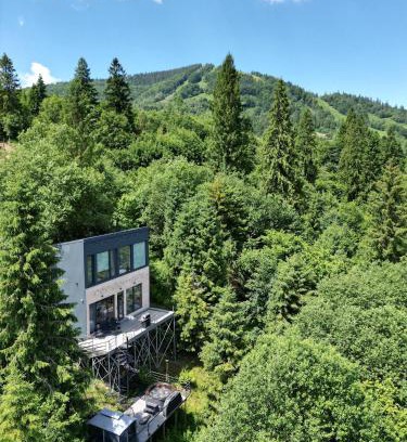 Slavske Ski Chalet | Forest Hub