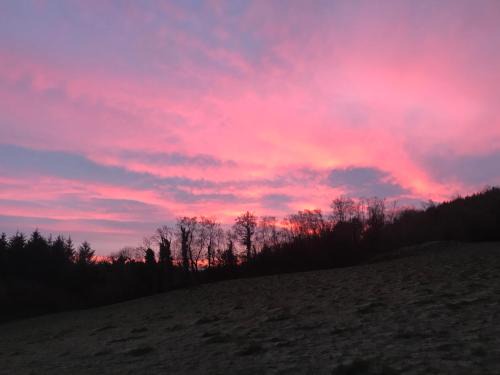 Castlewellan House | Forest View - Castlewellan, County Down