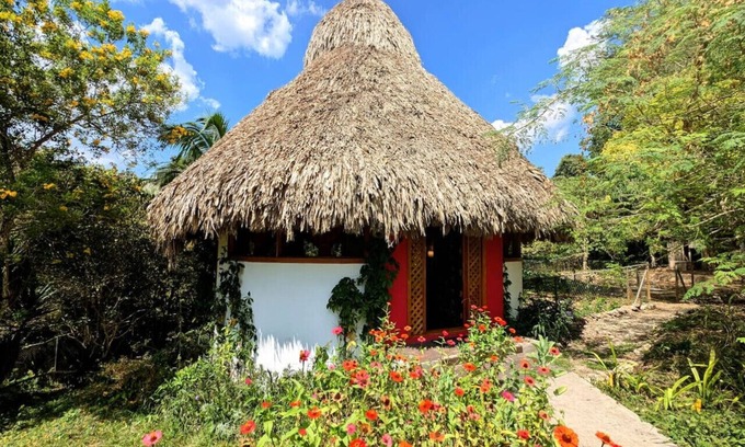 San Ignacio Other | Framadani estate - Jungle luxury