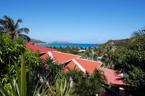 Morne Criquet Apartment | Franca St Jean