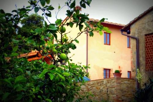 Capraia e Limite Apartment | Francesca Apartment