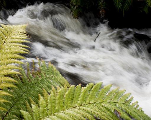 Ohakune Bed & Breakfast | Frankie & Hugh's