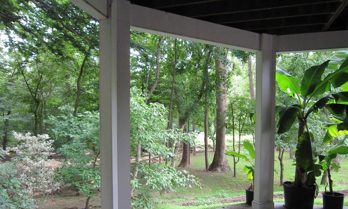 McLean Apartment | Ft Marcy 1 private BR on Pimmit Run, hike or kayak to the Potomac River
