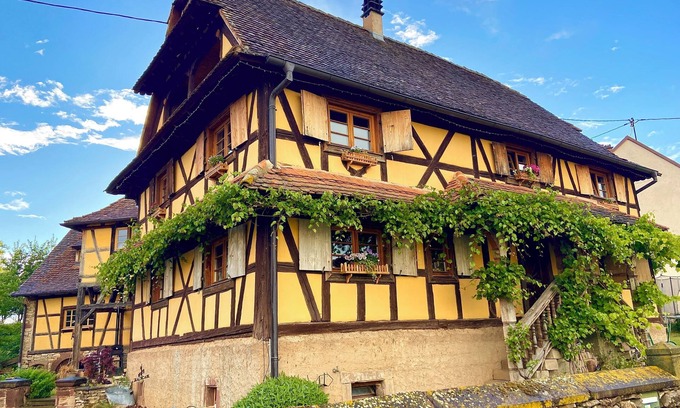 Rangen House | Gîte Le Chut - Jacuzzi & Swimming pool - 22km Strasbourg