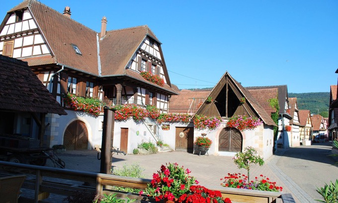 Cleebourg House | Gîte rural Vignoble de Cléebourg