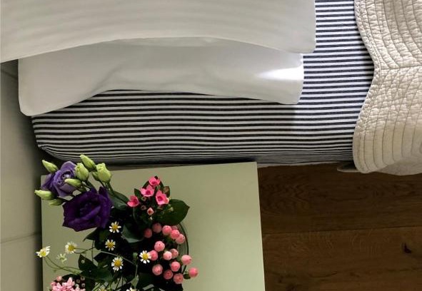 Marianske Lazne Bed & Breakfast | Galerie Suites
