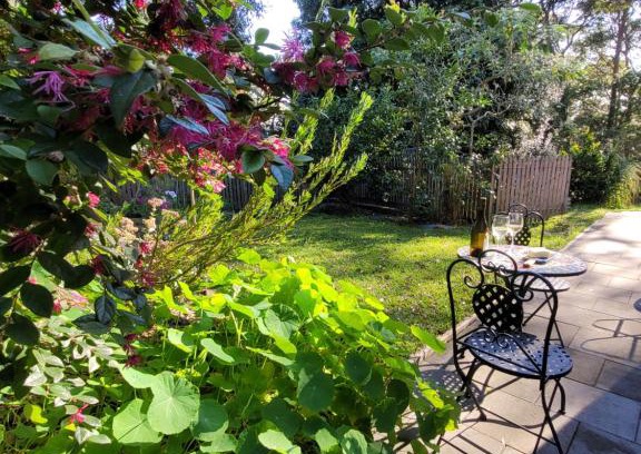 New Lambton Heights Apartment | Garden Rest