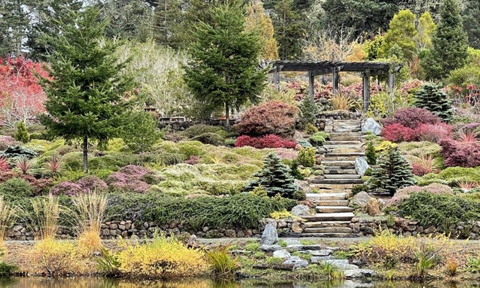 Point Arena House | Gardener’s Delight and Family Retreat – 5 minutes to town and stunning beaches