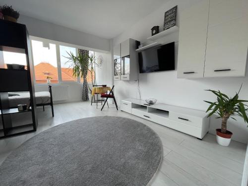 Petrosani Apartment | Garsonieră Ultracentrală Petroșani Valea Jiului