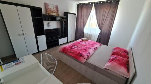 Arad Apartment | Garsoniera 30mp ChrysFlatty1 - FREE Netflix