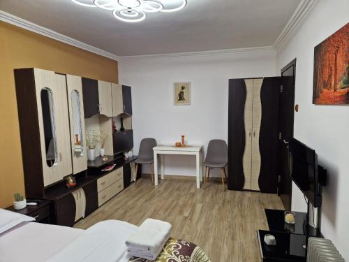 Baile Herculane Apartment | Garsoniera
