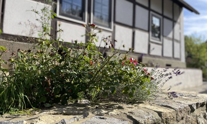 Kalletal House | Gemütliches Fachwerkhaus im Kalletal