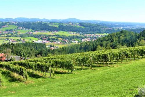 Krottendorf-Gaisfeld Apartment | Genuss Appartement am Familien Weingut