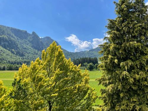 Oberwossen Apartment | Geräumiges Domizil mit Bergblick und Sauna