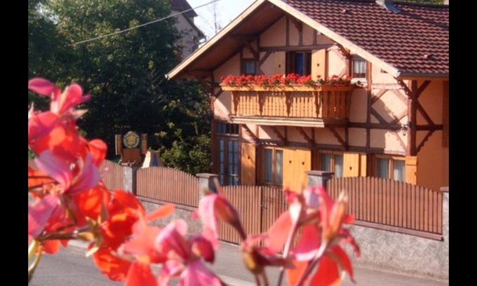 Ribeauville Apartment | Gîte de la Streng "Laurier" 50m² in Ribeauvillé in the heart of the Alsatian vineyards