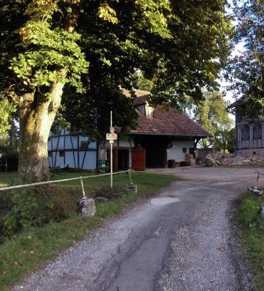 Valdieu-Lutran Apartment | Gite de peupliers