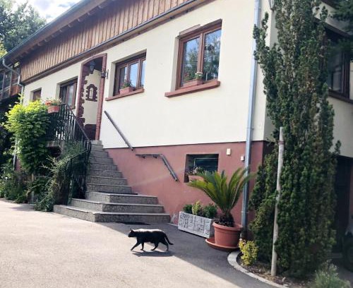 Bischwiller House | Gite du Ried
