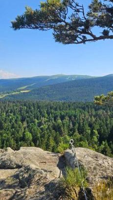 Chalmazel-Jeansagniere House | Gite Grand Confort en pleine nature - Le Perchoir de l'Olme