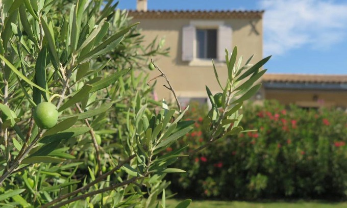 Cabrieres-d'Avignon Apartment | Gite LE PETIT LUBERON COQUELICOT