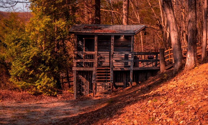 Lynx Cabin | Glamping Cabin | Huge Window | Nature Lovers Dream