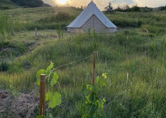 Izvoranu Other | Glamping Orange Valley