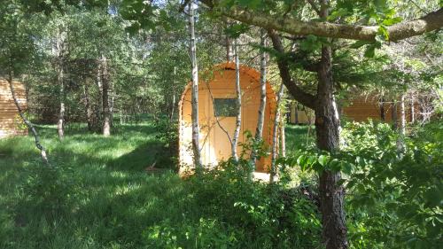 Nordholz Other | Glamping Pod im Wald mit Hund